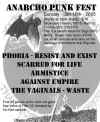 stig_usa_flyer.jpg (279977 bytes)