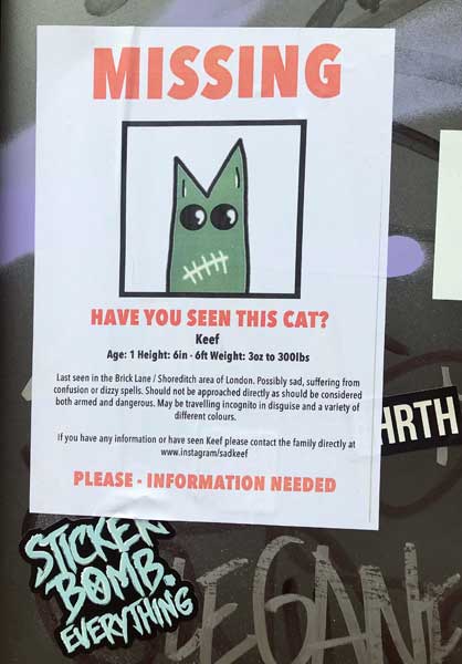 Keef - Have You Seen This Cat