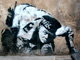 Banksy photos