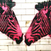 cans festival asbestos