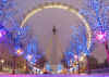 london_eye_at_night.jpg (70954 bytes)