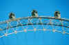london_eye_pods_x3.jpg (47481 bytes)