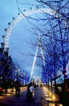 pglondonEYEbluelight.jpg (66790 bytes)