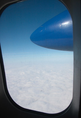 Plane Widow view