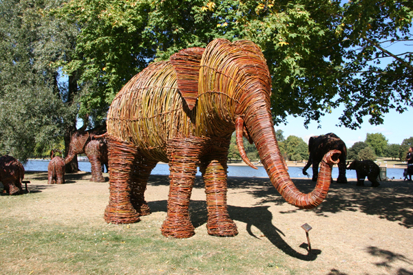 The Trunk Show Elephants