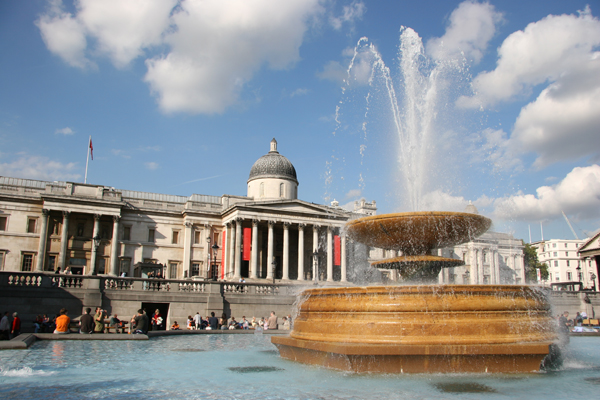 Trafalgar Square pigeons