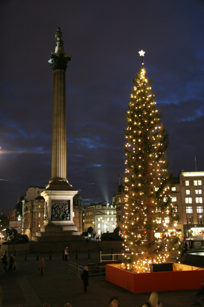 Trafalgar Square Christmas Tree