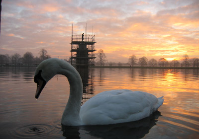 Bushy Park Lake