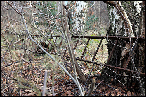 Old Iron railway ladder in Feltham Marchalling Yards