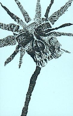 Icons of Filth BBO Show Us You Care artwork