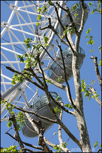 Photo of the London Eye in the Spring