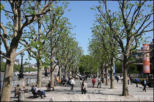 London In The Spring Time