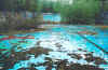 pgphotoURBANtwickpool.jpg (58733 bytes)