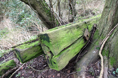 rotting rail sleepers
