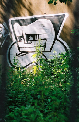 Graffiti figure&nbsp;in bushes