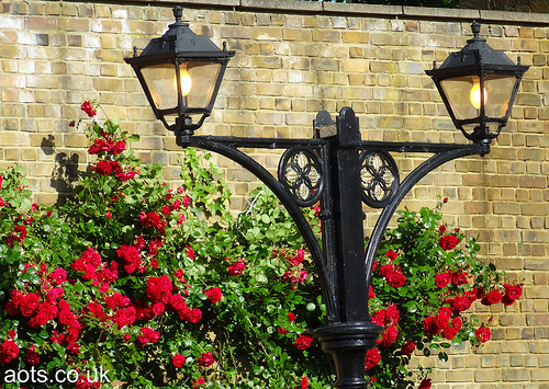 Staines West Station Lamps