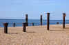 west_pier_stands.jpg (33433 bytes)