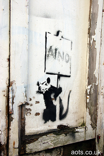 Banksy Brighton placard rat