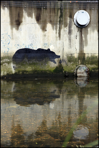 Banksy bear with Fish, Deptford Creek