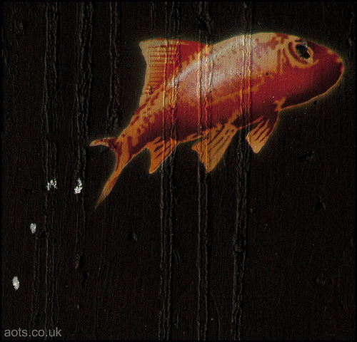 Banksy goldfish