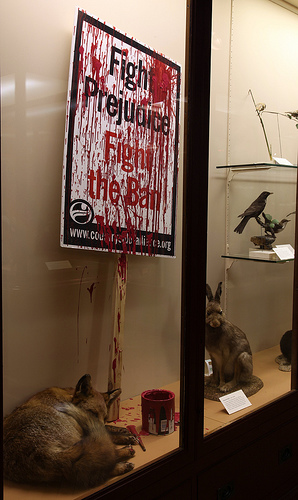 Banksy hunting ban display