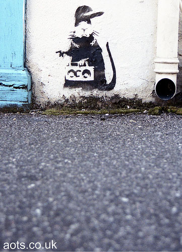 Rat stencil photo