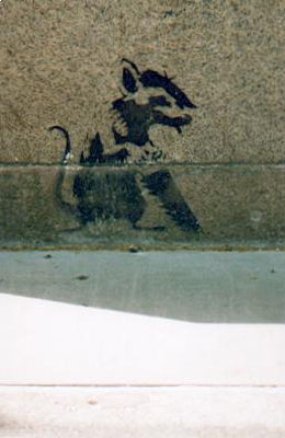 Banksy rat photos