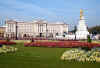 buckingham_palace_london.jpg (55412 bytes)