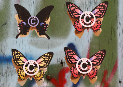 Copyright Butterflies