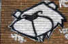 graffiti_spray_can_bulldog.jpg (62622 bytes)