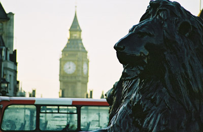 Landseer Lion