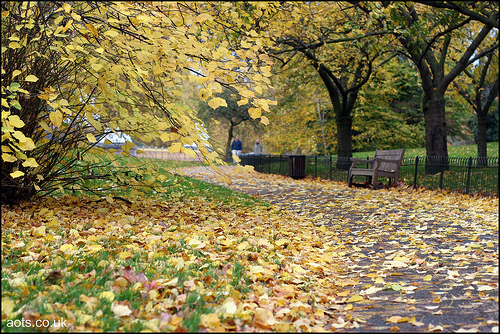 London in autumn