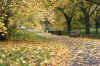 london_in_autumn.jpg (60509 bytes)