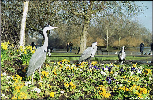 Regents Park