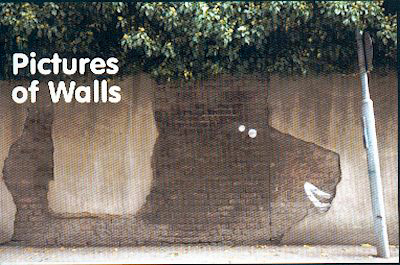 Pictures of Walls graffiti book