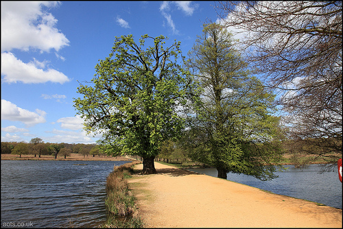 Pen Ponds, Richmond Park