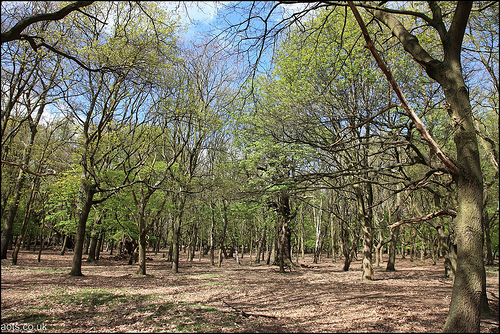 Richmond Park