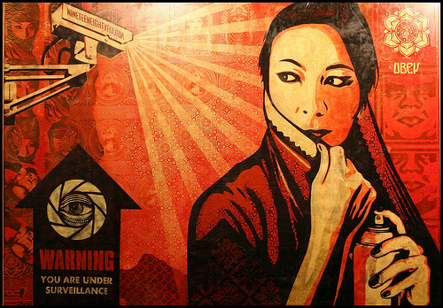 Shepard Fairey _ Warning You Are Under Surveillance