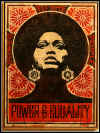 shepard_fairey_obey_power_and_equality.jpg (194123 bytes)