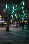 south_bank_christmas_lights.jpg (189844 bytes)