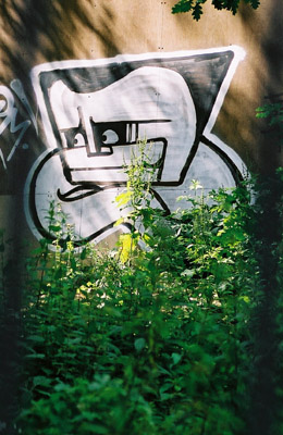 Graffiti figure in bushes