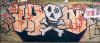 spray_skull copy.jpg (79446 bytes)