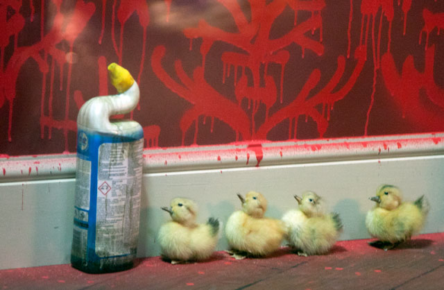 Banksy Ducklings