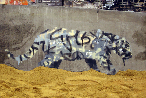 Banksy tagger leopard