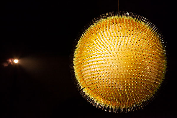 Paul Insect's Sun