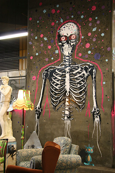 Paul Insect x-ray vision skeleton at the Cans Festival