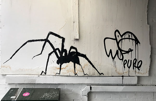 Paul Insect Spider