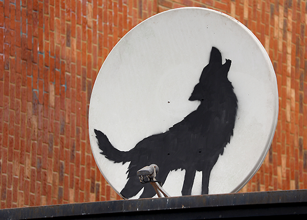 Banksy Peckham wolf on a satellite dish as part of his London Safari