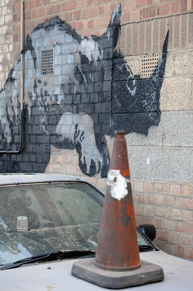 Detail of the Banksy rhino