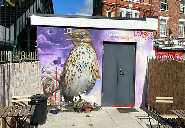 Thrush street art by Aspire in Penge